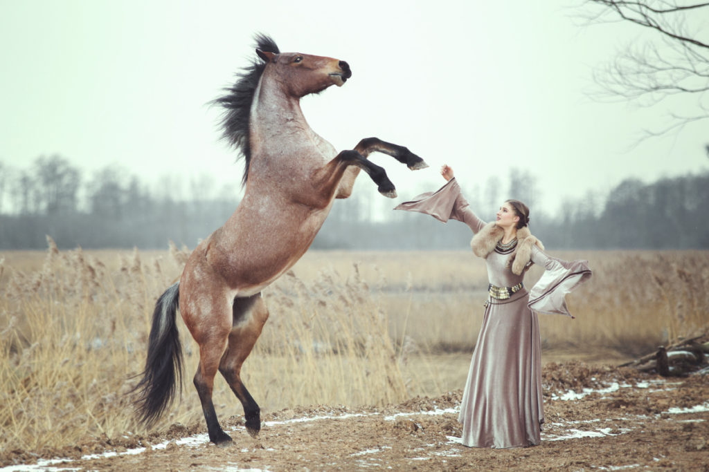 Sesja z koniem, warsztaty fotografii koni