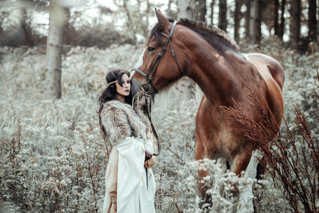 Fotografia koni, zdjęcia koni, portret konia na czarnym tle. Sesja z koniem, zdjęcia jeździeckie.