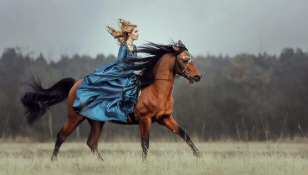 Natalia i Ghazallah Petronius Arabians – sesja fotograficzna z koniem arabskim