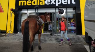 Reklama XBOX dla Media Expert – wynajem konia do reklamy