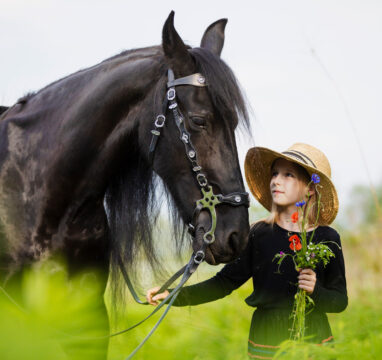 Sesja Celinki – Sesja dla dziecka z koniem fryzyjskim